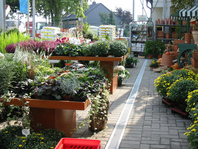 Beet-, Balkon- und Gartenpflanzen in unserer Filiale, Beispiel 6